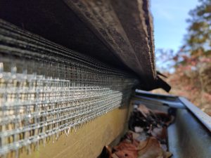 Roof Rat Proofing Over Builders Gap